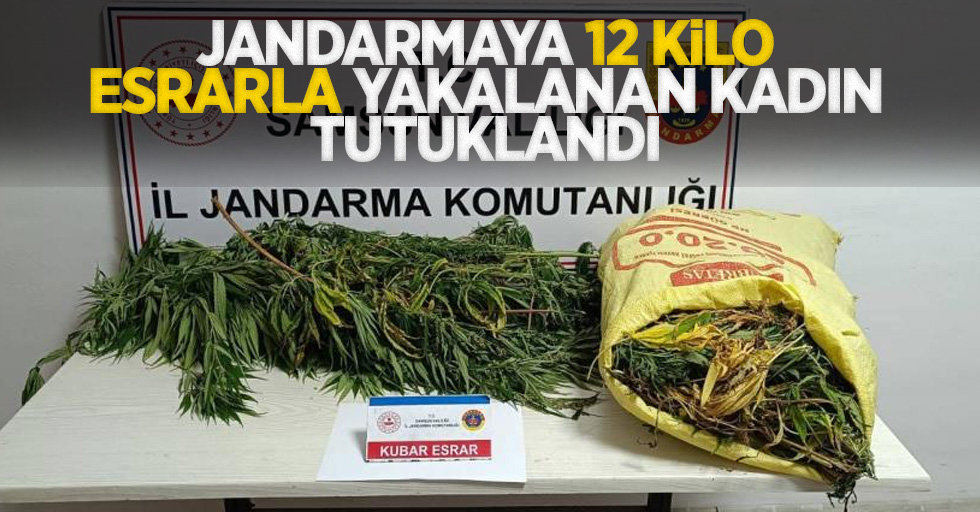 Jandarmaya 12 kilo esrarla yakalanan kadın tutuklandı