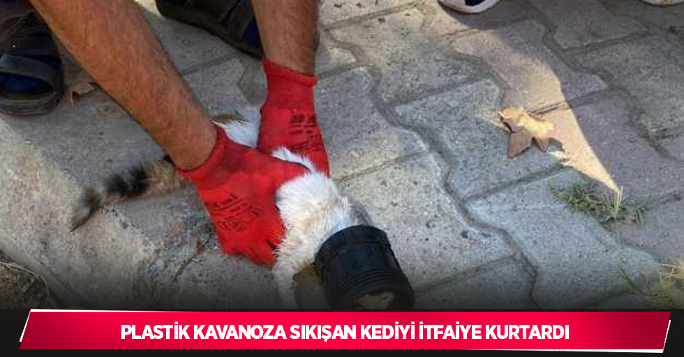 Plastik kavanoza sıkışan kediyi itfaiye kurtardı