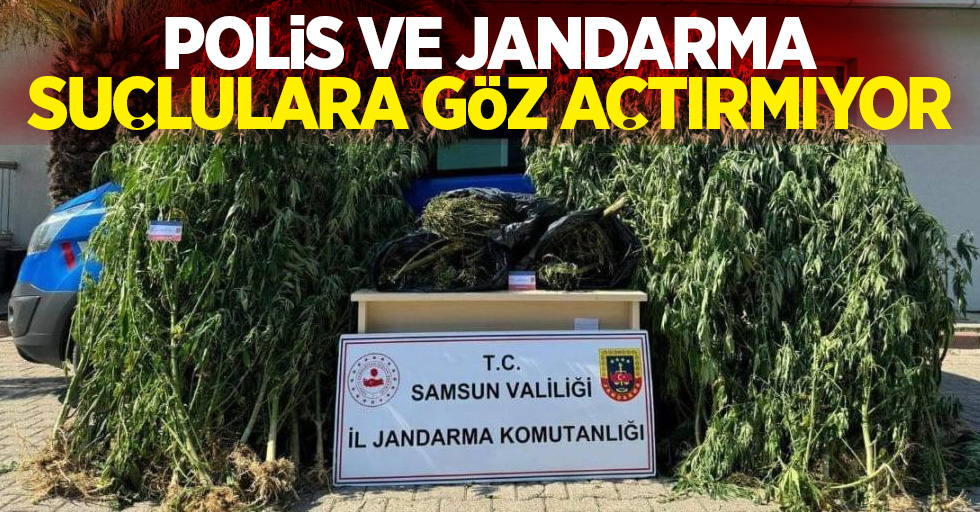 Polis ve jandarma suçlulara göz açtırmıyor