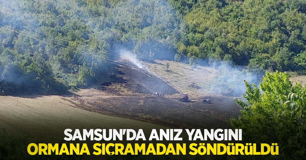 Samsun'da anız yangını ormana sıçramadan söndürüldü