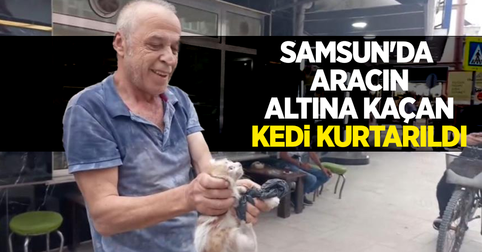 Samsun'da aracın altına kaçan kedi kurtarıldı