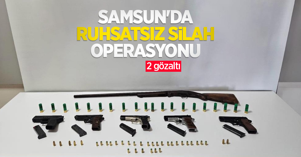 Samsun'da ruhsatsız silah operasyonu: 2 gözaltı