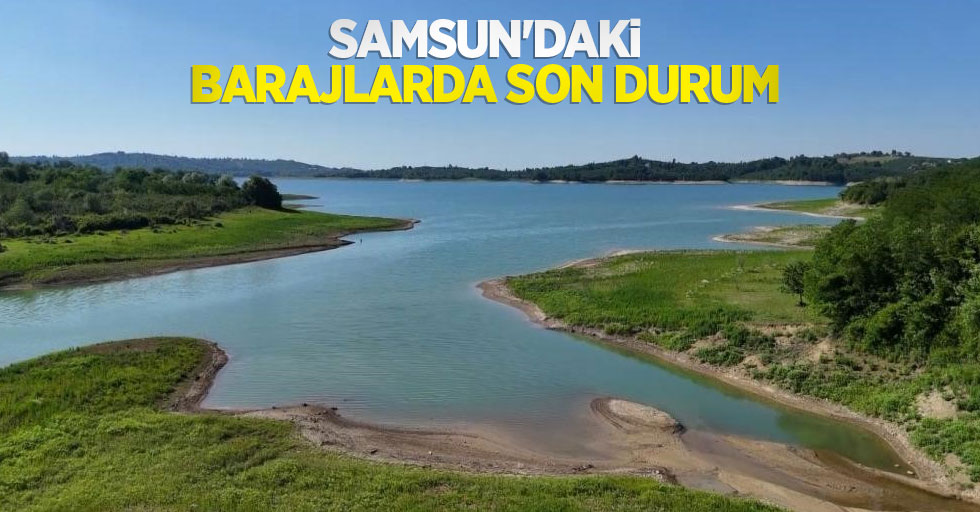 Samsun'daki barajlarda son durum