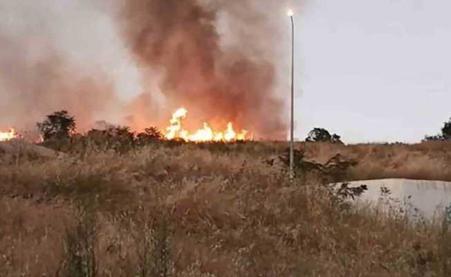 Tekirdağ’da Çırçır Tepesi’nde yangın