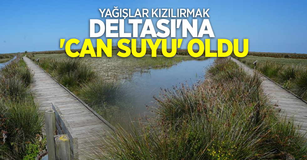 Yağışlar Kızılırmak Deltası'na 'Can suyu' oldu