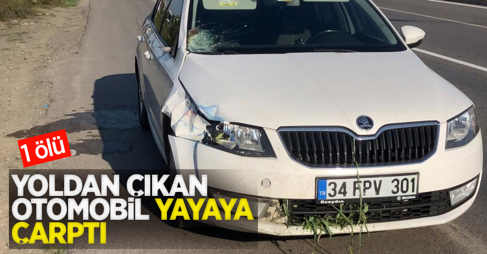 Yoldan çıkan otomobil yayaya çarptı: 1 ölü