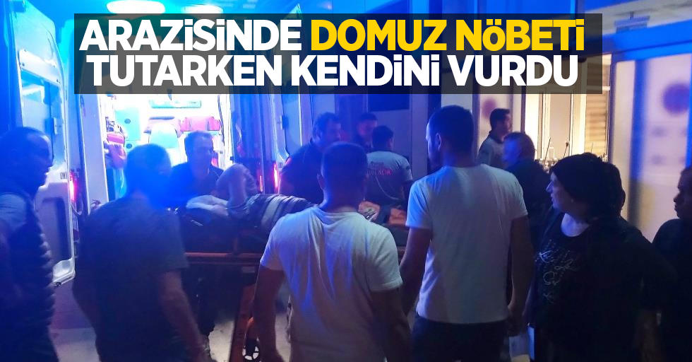 Arazisinde domuz nöbeti tutarken kendini vurdu