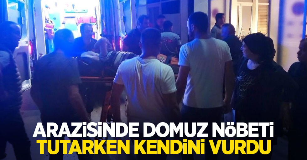 Arazisinde domuz nöbeti tutarken kendini vurdu