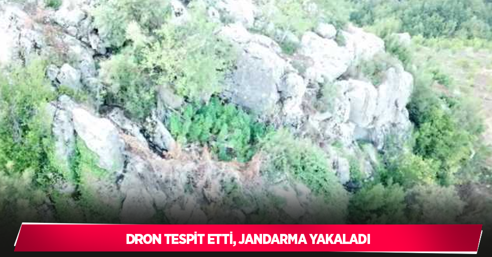 Dron tespit etti, jandarma yakaladı