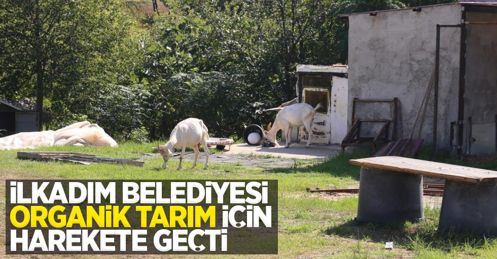 İlkadım Belediyesi organik tarım için harekete geçti