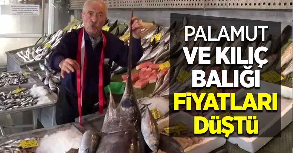 Palamut ve kılıç balığı fiyatları düştü