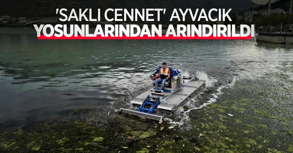 'Saklı Cennet' Ayvacık, yosunlarından arındırıldı