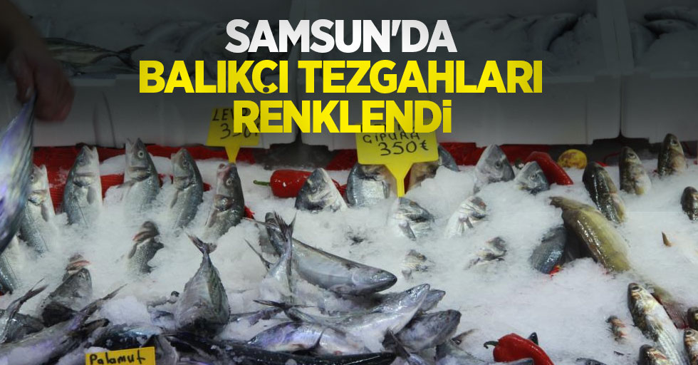 Samsun'da balıkçı tezgahları renklendi