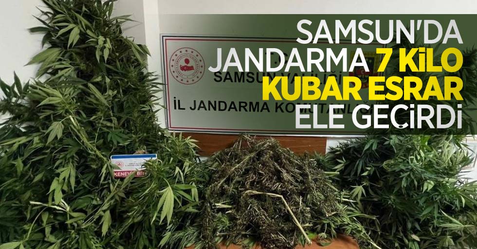 Samsun'da jandarma 7 kilo kubar esrar ele geçirdi