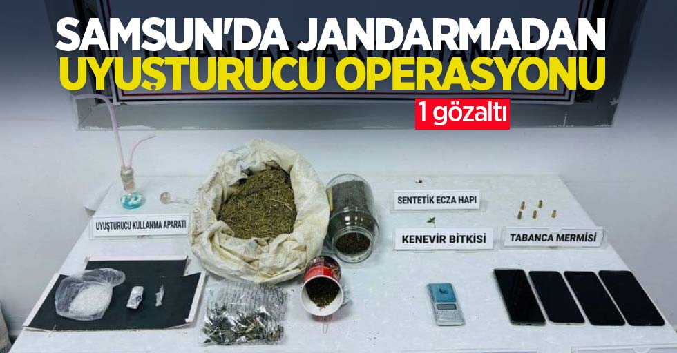 Samsun'da jandarmadan uyuşturucu operasyonu: 1 gözaltı