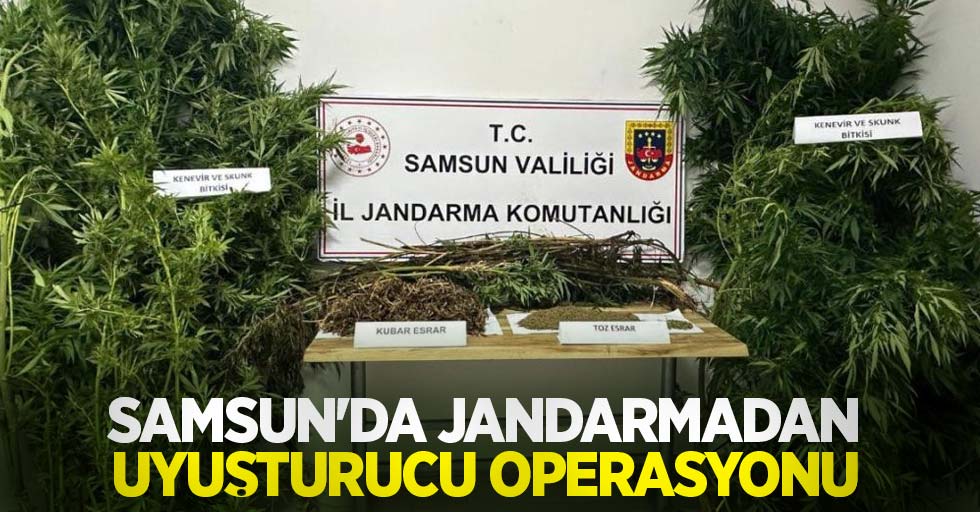 Samsun'da jandarmadan uyuşturucu operasyonu: 2 gözaltı