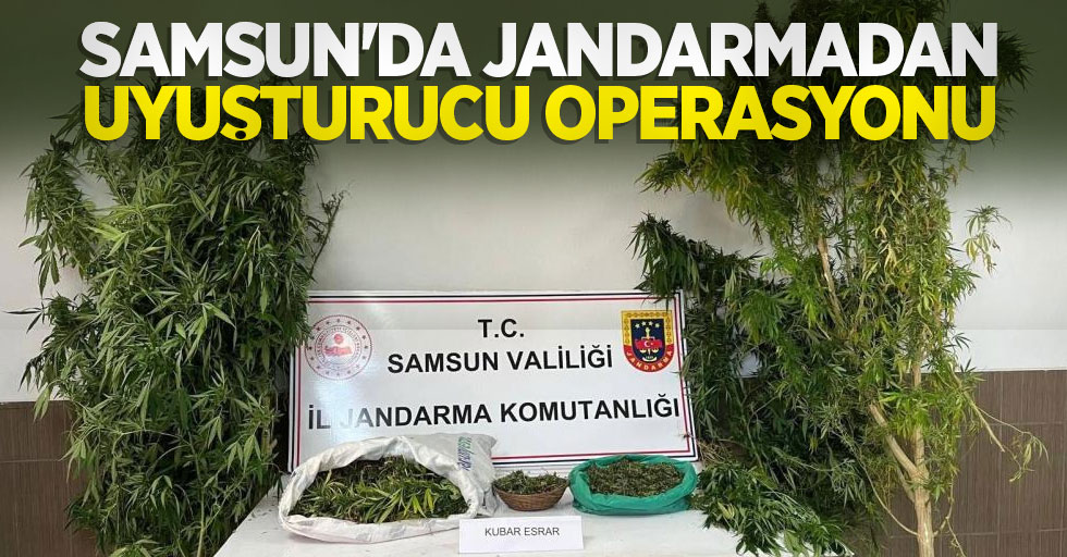 Samsun'da jandarmadan uyuşturucu operasyonu