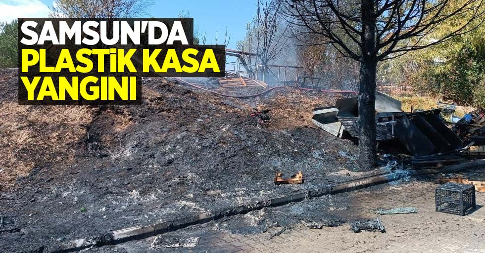 Samsun'da plastik kasa yangını