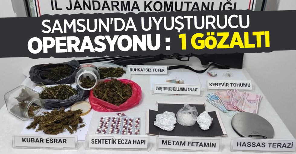 Samsun'da uyuşturucu operasyonu :1 gözaltı