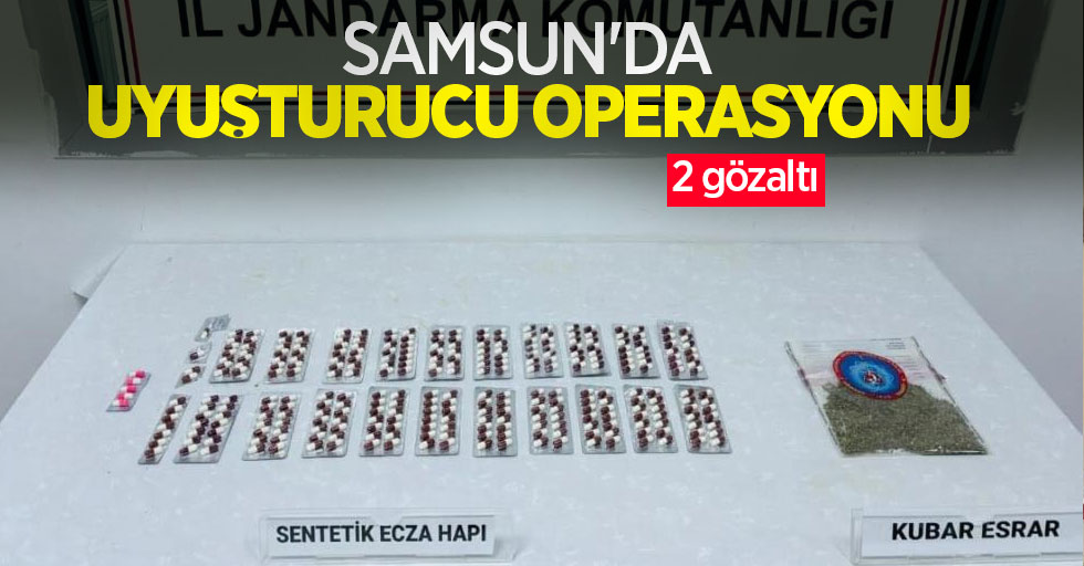 Samsun'da uyuşturucu operasyonu: 2 gözaltı