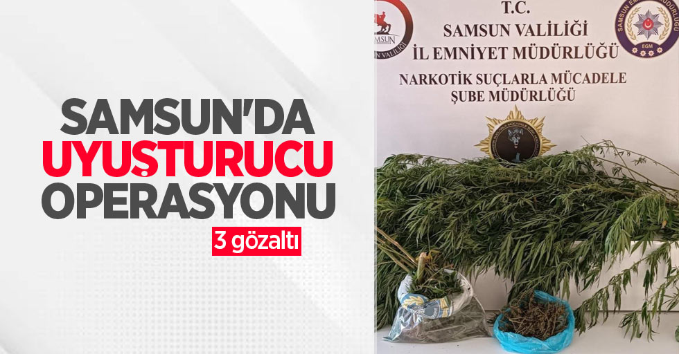 Samsun'da uyuşturucu operasyonu: 3 gözaltı