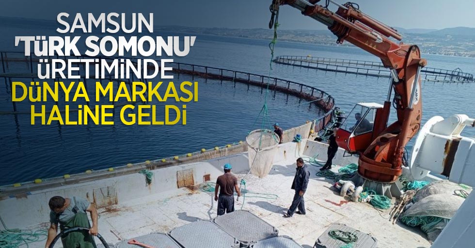 Samsun, 'Türk somonu' üretiminde dünya markası haline geldi