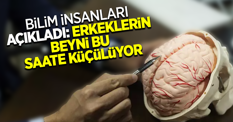 Uzmanlar açıkladı erkeklerin beyni bu saate küçülüyor