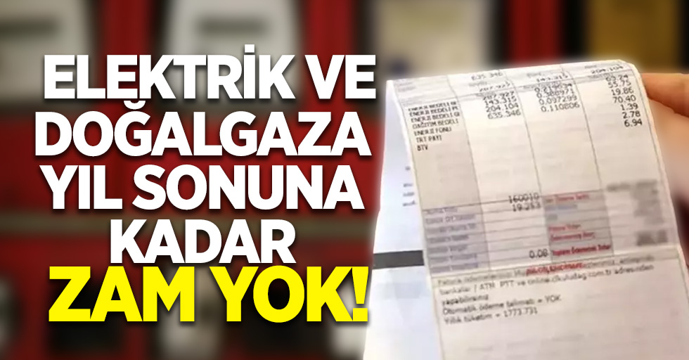 Elektrik ve doğalgaza yıl sonuna kadar zam yok