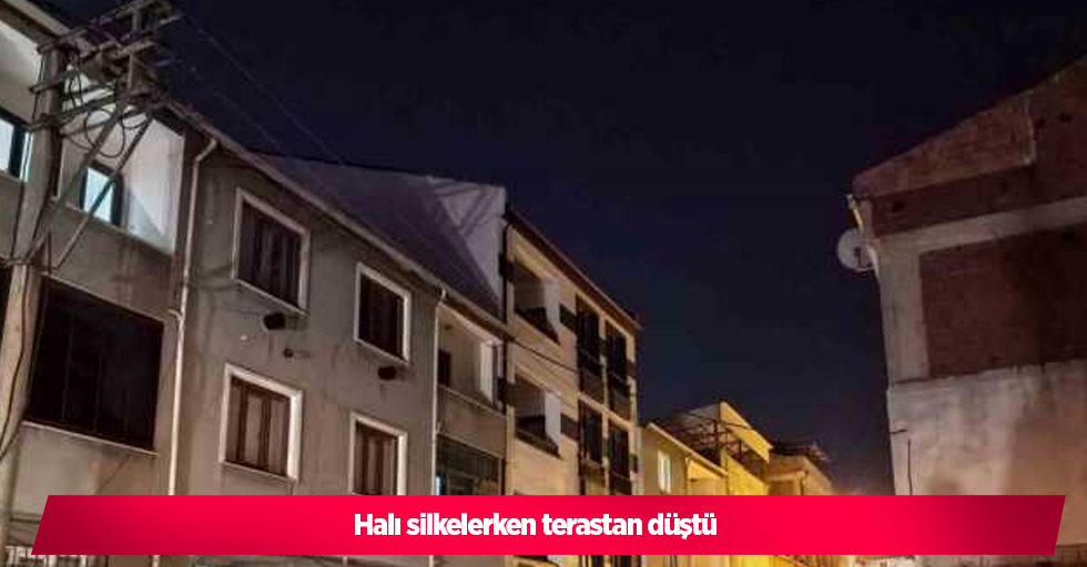 Halı silkelerken terastan düştü