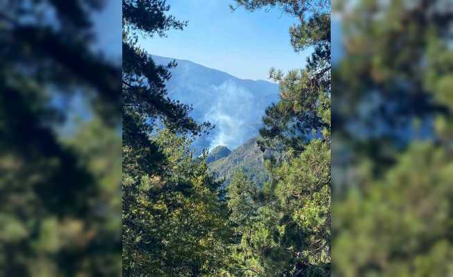 Hatay’da orman yangını