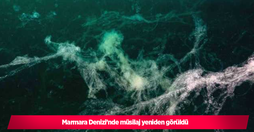 Marmara Denizi’nde müsilaj yeniden görüldü