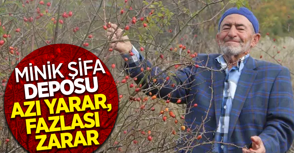 Minik şifa deposu azı yarar, fazlası zarar