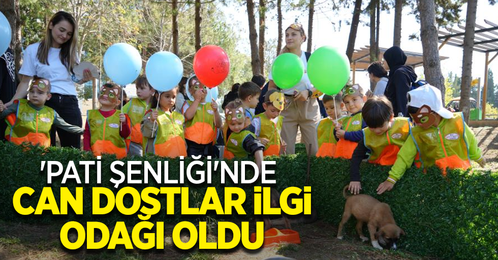 'Pati Şenliği'nde can dostlar ilgi odağı oldu