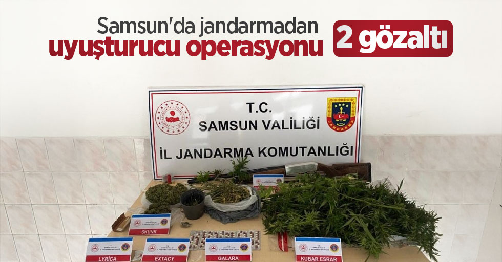 Samsun'da jandarmadan uyuşturucu operasyonu: 2 gözaltı