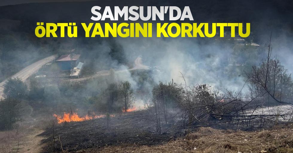 Samsun'da örtü yangını korkuttu