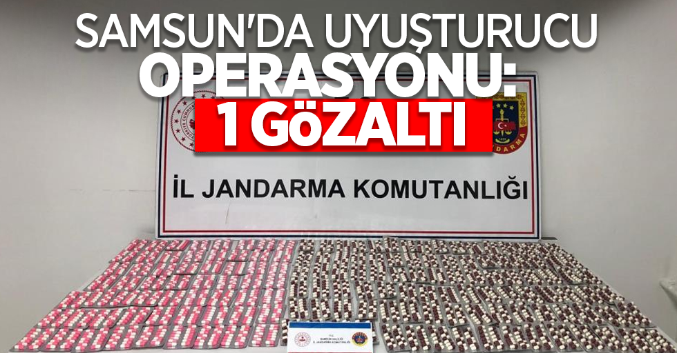 Samsun'da uyuşturucu operasyonu: 1 gözaltı