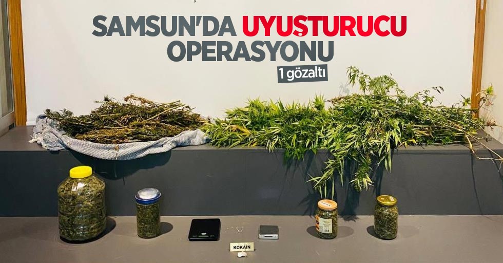 Samsun'da uyuşturucu operasyonu: 1 gözaltı