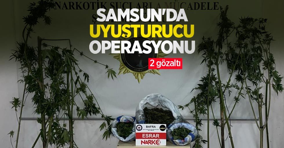 Samsun'da uyuşturucu operasyonu: 2 gözaltı