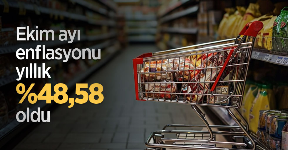 Ekim ayı enflasyonu yıllık yüzde 48,58 oldu