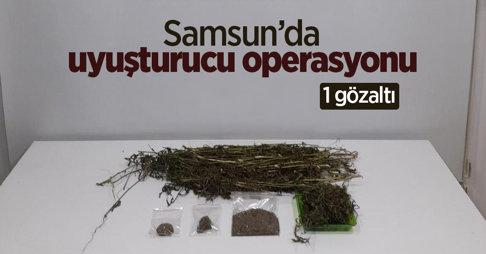 Samsun’da uyuşturucu operasyonu: 1 gözaltı