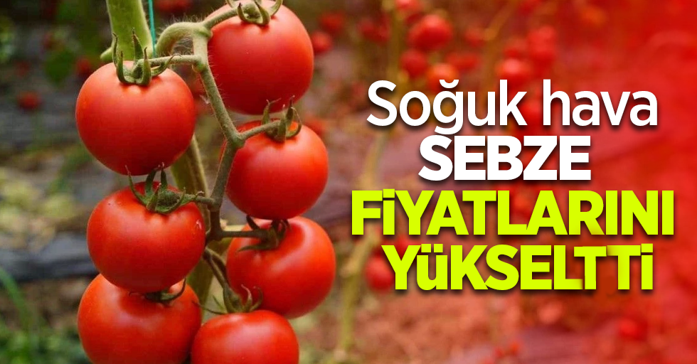 Soğuk hava sebze fiyatlarını yükseltti