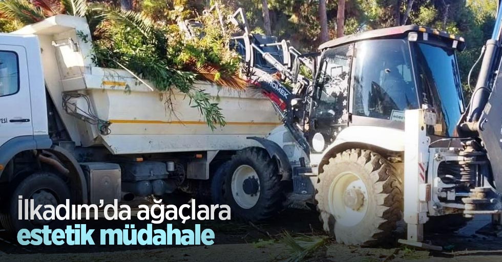 İlkadım’da ağaçlara estetik müdahale