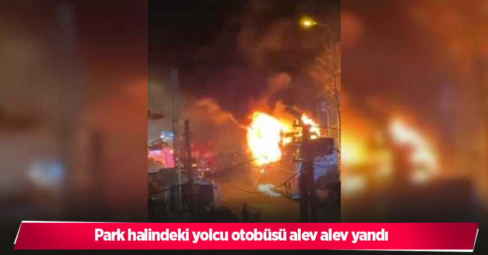 Park halindeki yolcu otobüsü alev alev yandı