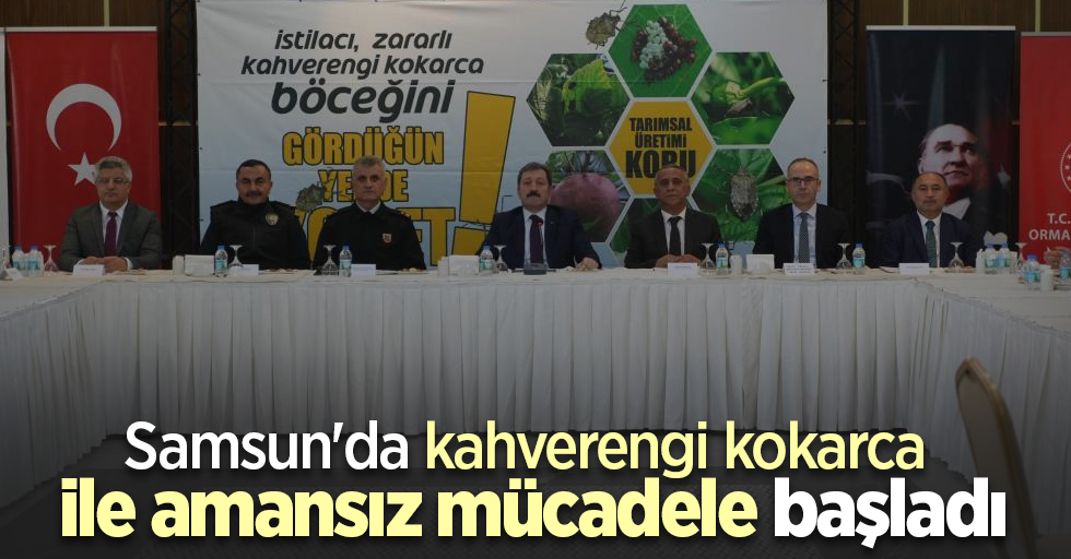 Samsun'da kahverengi kokarca ile amansız mücadele başladı