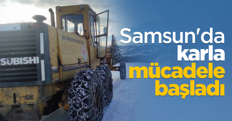 Samsun'da karla mücadele başladı