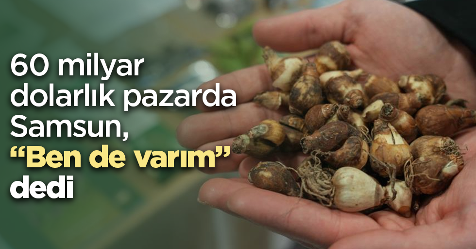 60 milyar dolarlık pazarda Samsun, “Ben de varım” dedi