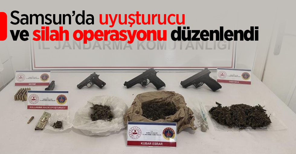 Samsun’da uyuşturucu ve silah operasyonu düzenlendi