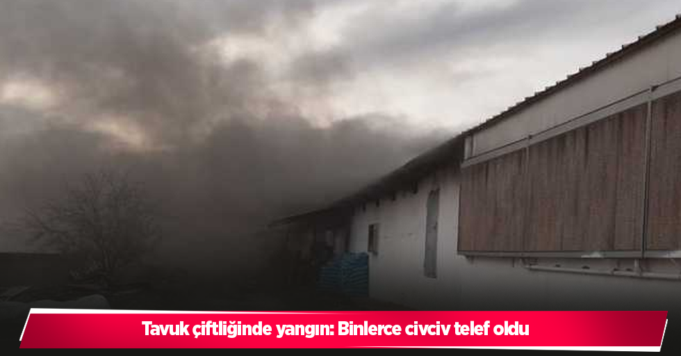 Tavuk çiftliğinde yangın: Binlerce civciv telef oldu