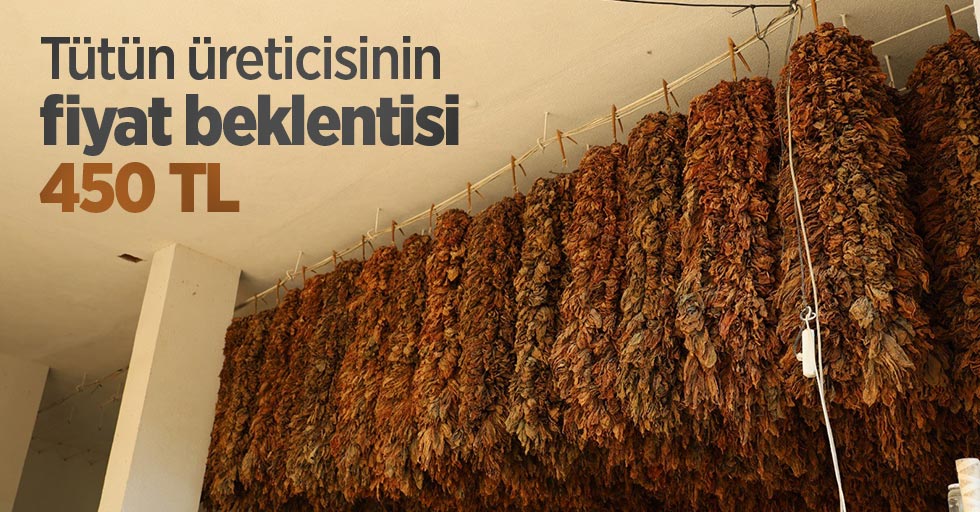 Tütün üreticisinin fiyat beklentisi 450 TL