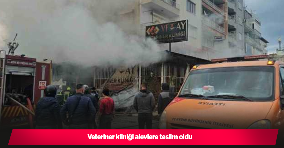 Veteriner kliniği alevlere teslim oldu